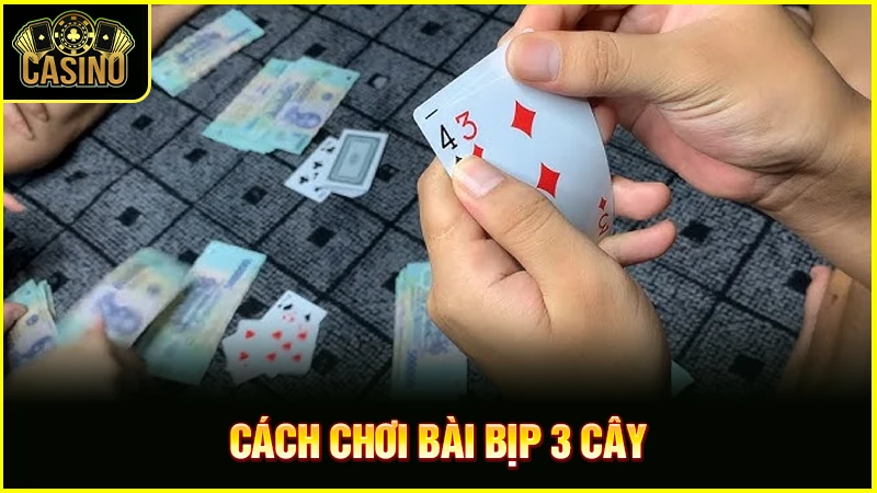 Cách chia bài 3 cây lấy điểm cao | Hướng dẫn đánh bịp 29